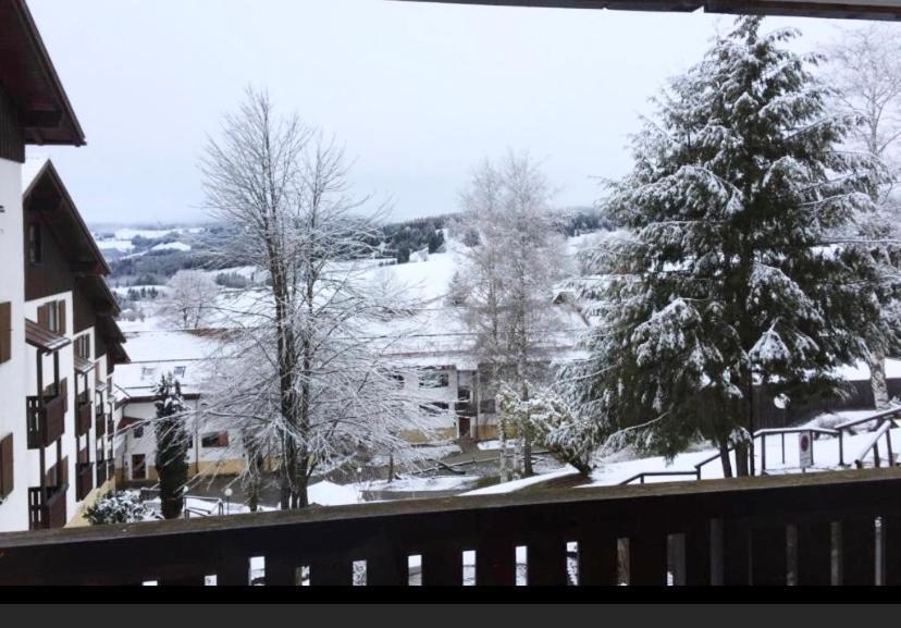 Fewo Alpenwiese Mit Hallenbad&Sauna Missen-Wilhams Εξωτερικό φωτογραφία