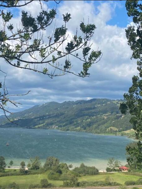 Fewo Alpenwiese Mit Hallenbad&Sauna Missen-Wilhams Εξωτερικό φωτογραφία