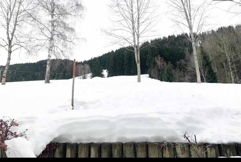Fewo Alpenwiese Mit Hallenbad&Sauna Missen-Wilhams Εξωτερικό φωτογραφία
