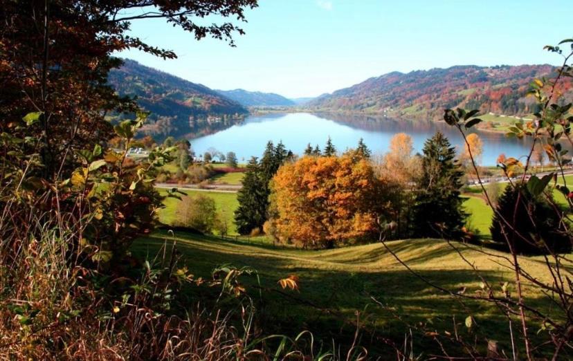 Fewo Alpenwiese Mit Hallenbad&Sauna Missen-Wilhams Εξωτερικό φωτογραφία